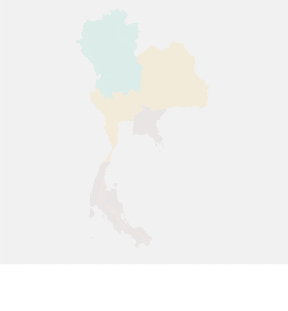 Thai Health Support